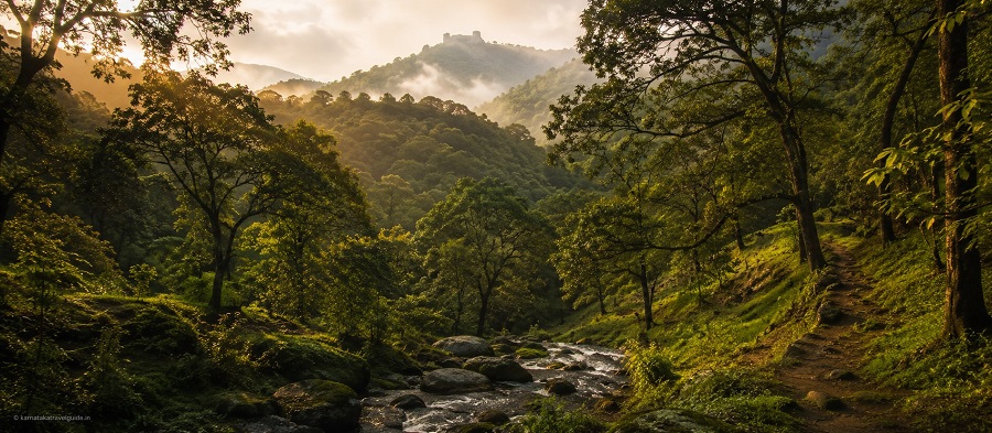 Bhimgad Adventure Camp — millions of bats emerging from cave at dusk, Western Ghats