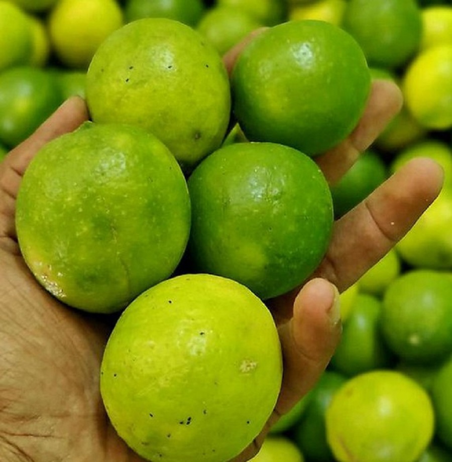 Indi Limbe (lime)