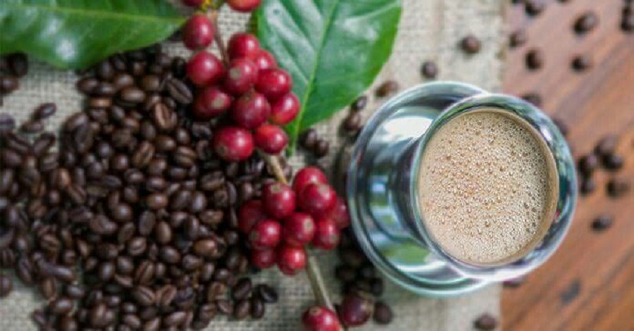 Chikmagalur Arabica Coffee
