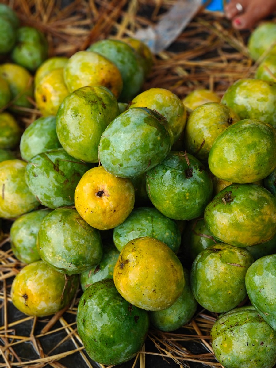 Kari Ishad Mango
