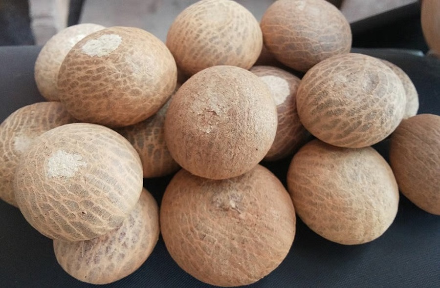 Sirsi Supari (areca nut)