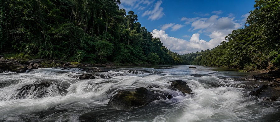 Kali Adventure Camp — Kali river white water rapids through Dandeli forest Karnataka