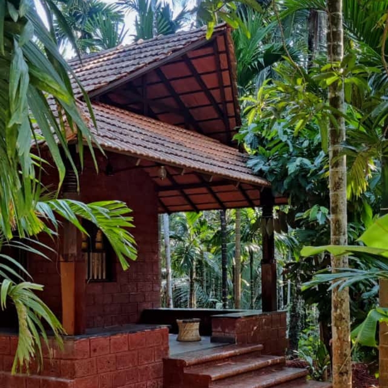 Deluxe cottage amid arecanut plantation at Areca County Honnavar