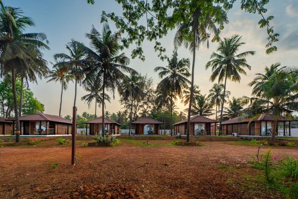 Row of wooden beach cottages among coconut palms at Miraya by the Beach, Murdeshwar