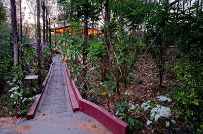Nature walk pathway at Vedantikala Resort, Chikmagalur