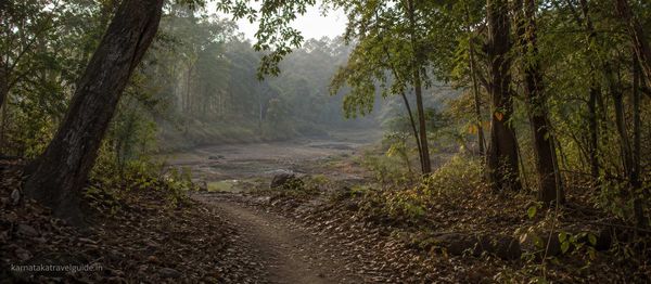 Western Ghats wildlife landscape representing weekend wildlife getaways from Mangalore